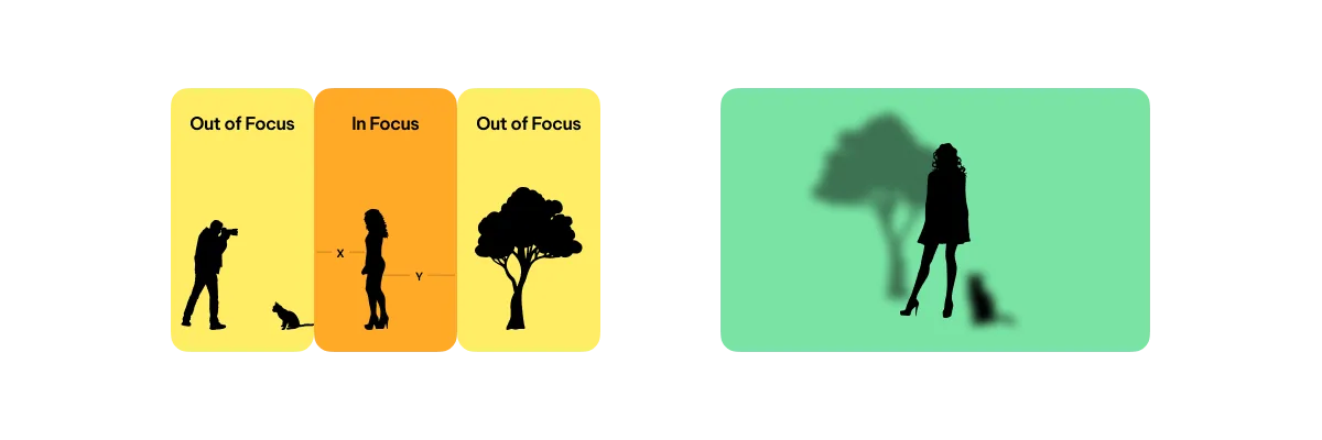 Depth of field calculator illustration: out of focus, in focus, out of focus